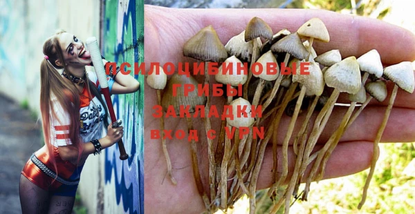 Альфа ПВП Усинск