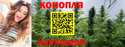 индика Кандалакша