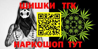 индика Кандалакша