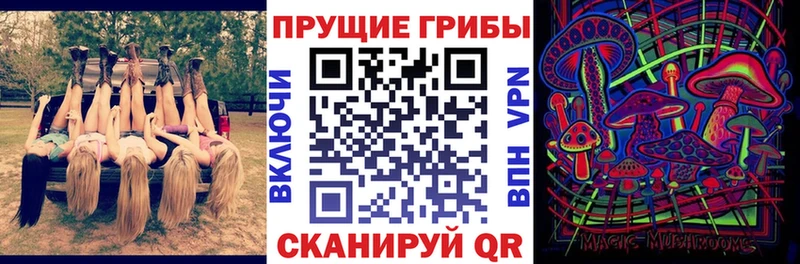 купить наркотик  Магнитогорск  Псилоцибиновые грибы Magic Shrooms 