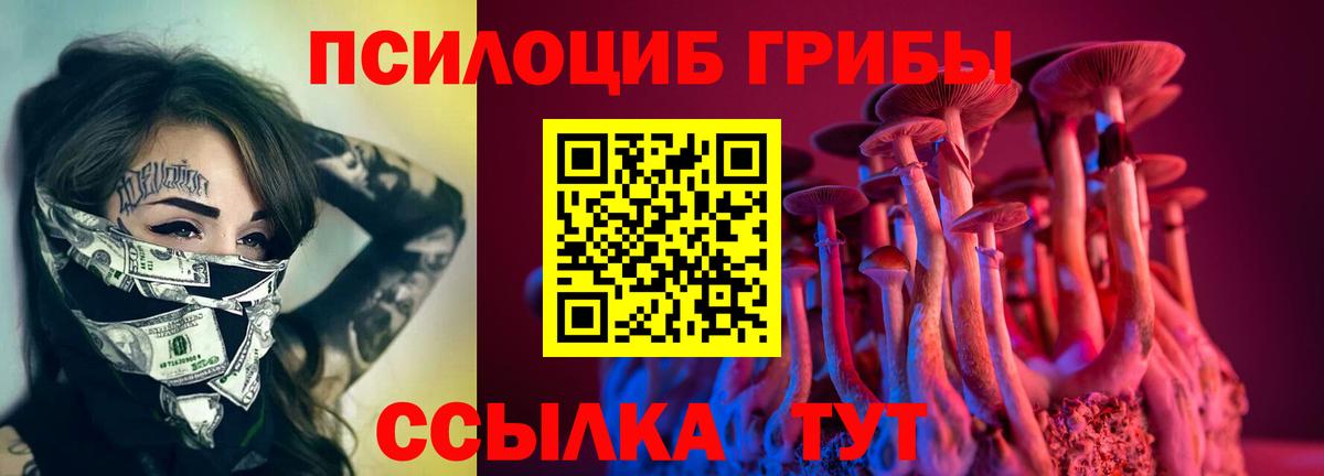 Магнитогорск  Псилоцибиновые грибы GOLDEN TEACHER  Вход с VPN 